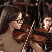 Insegnante di violino e solfeggio base offre lezioni ad allievi di varie età e livelli!